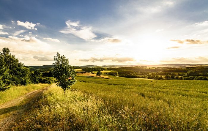 Landschaft bei Kürbitz - Vogtland Panorama Weg