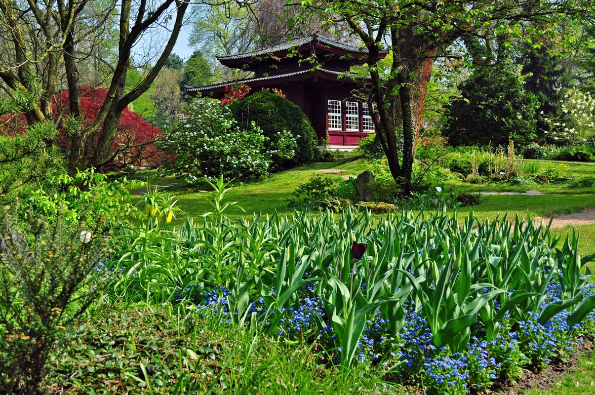 Japanischer Garten, Leverkusen - Parks und Gärten Deutschlands