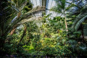 Palmengarten, Frankfurt - Parks und Gärten Deutschlands