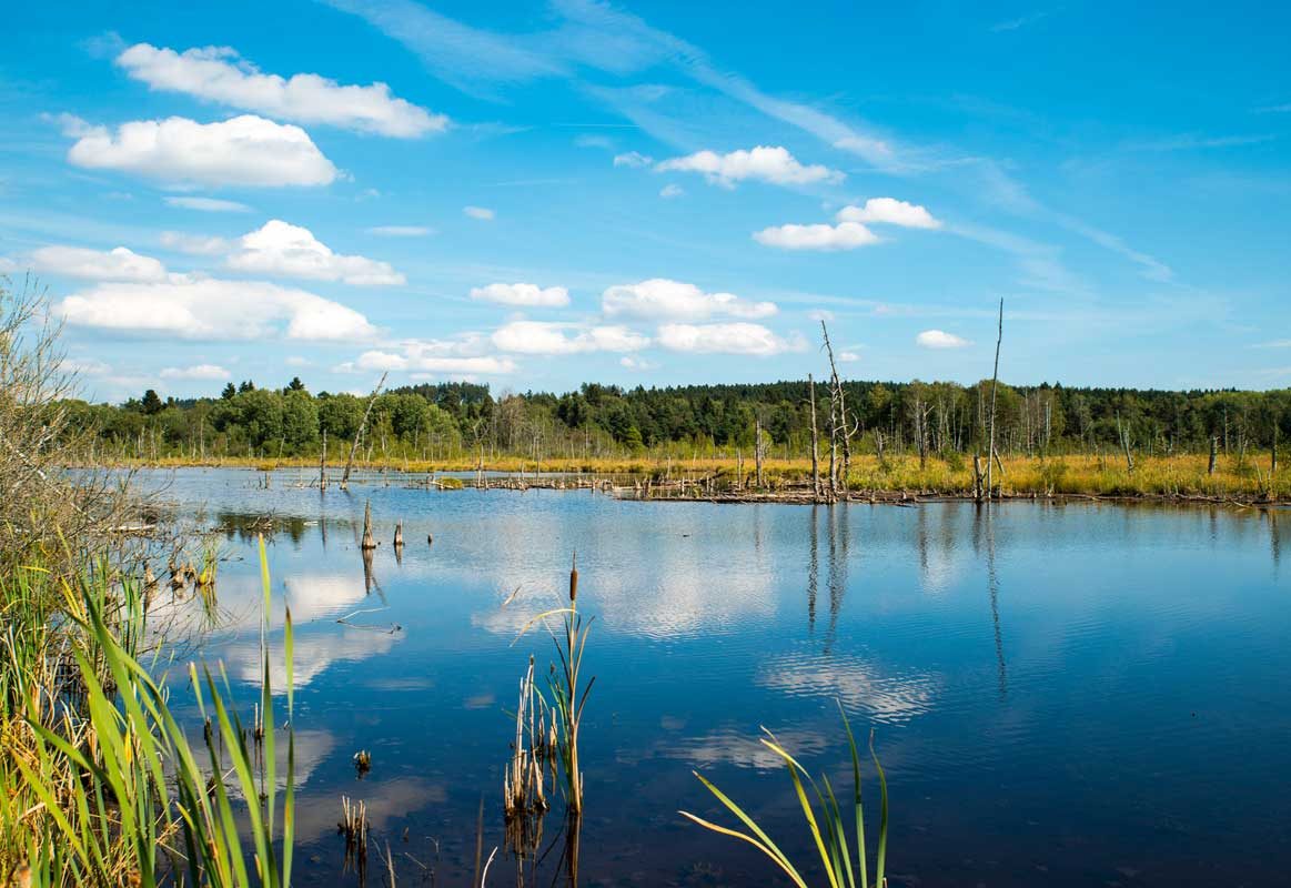Schwenninger Moos - 3Welten-Radweg - Ostweg