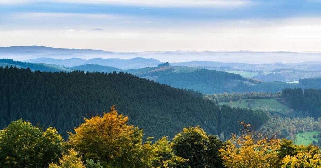Der Sauerland-Höhenflug Panoramaweg im Sauerland