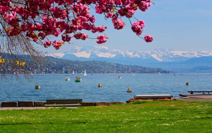 Zürichsee