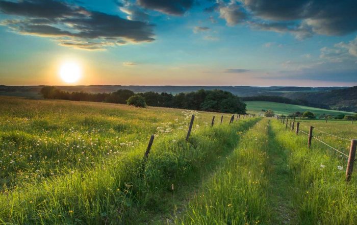 Weg in der Eifel - Fernwanderweg Eifelsteig
