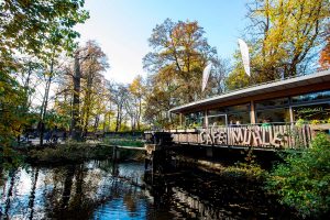 Tierpark Hellabrunn im Herbst - Zoos Deutschland