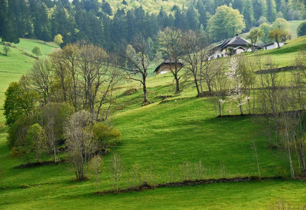 Der Schluchtensteig im Südschwarzwald