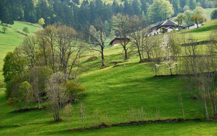 Südschwarzwald - Schluchtensteig