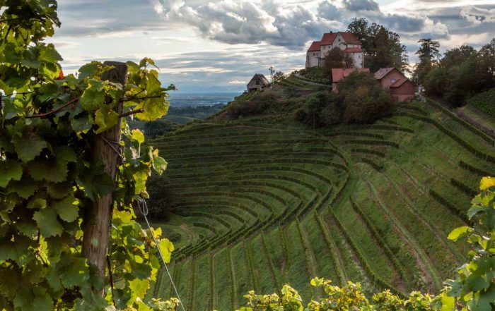 Schloss Staufenberg in Durbach - Ortenauer Weinpfad