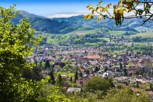 Blick auf Oberkirch - Ortenauer Weinpfad