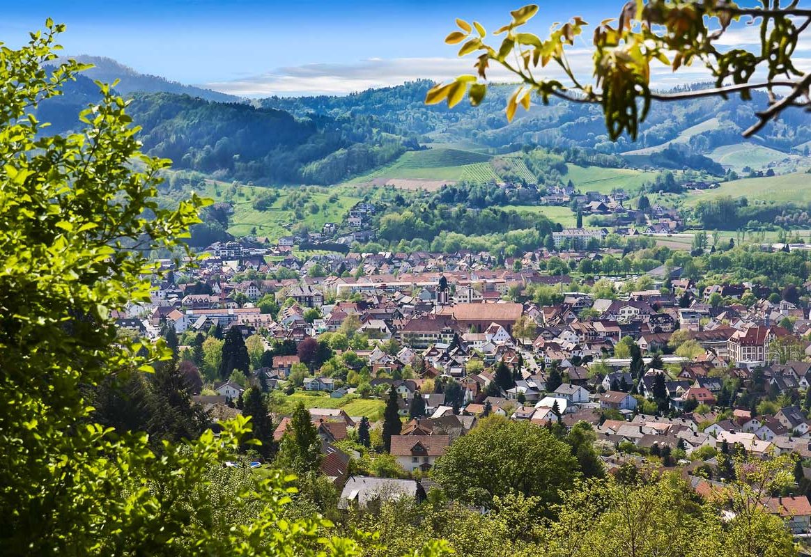 Blick auf Oberkirch - Ortenauer Weinpfad