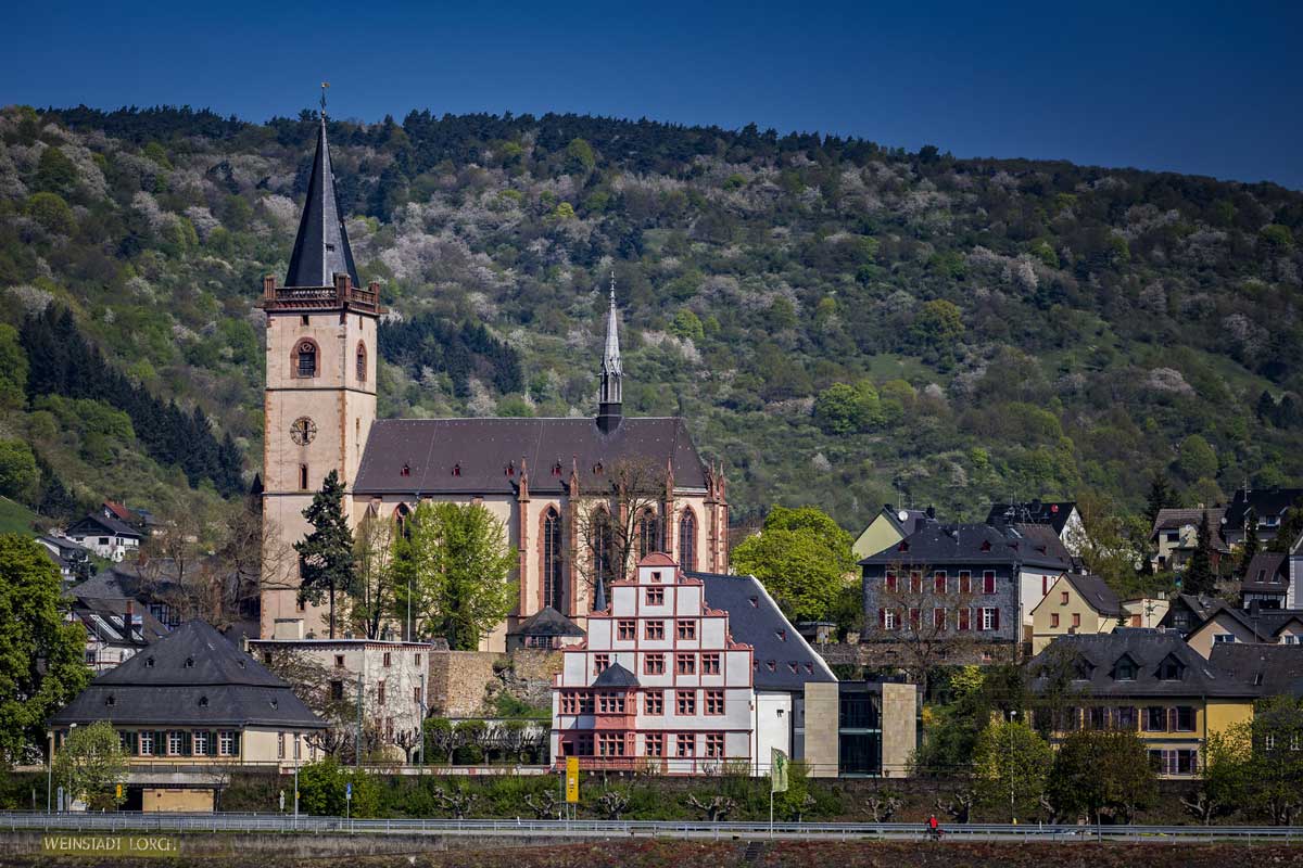 Lorch mit Pfarrkirche St. Martin - Rheingauer Rieslingpfad