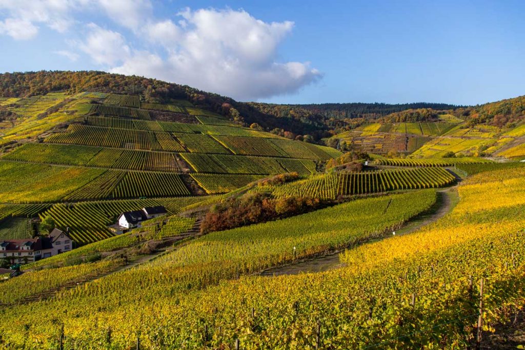 Rotweinwanderweg (Ahr)