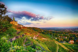 Blick auf Radebeul - Der Sächsische Weinwanderweg - Top-Reiseziele