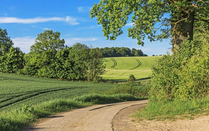 Feldweg in der Holsteinischen Schweiz - Mönchsweg