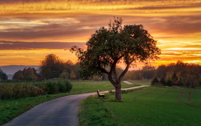 Wandern im Westerwald - Westerwald-Steig