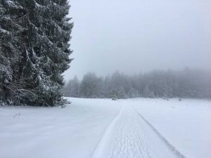 Unterwegs auf dem Premium-Winterwanderweg Wintermärchen in Albstadt