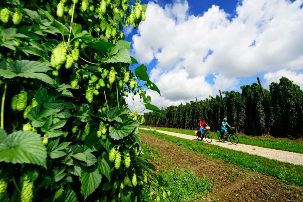 Badehose, Bier und Barock auf der Niederbayerntour
