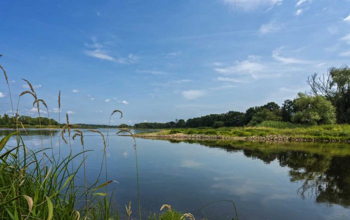 Oder in Brandenburg - Oder-Neiße-Radweg
