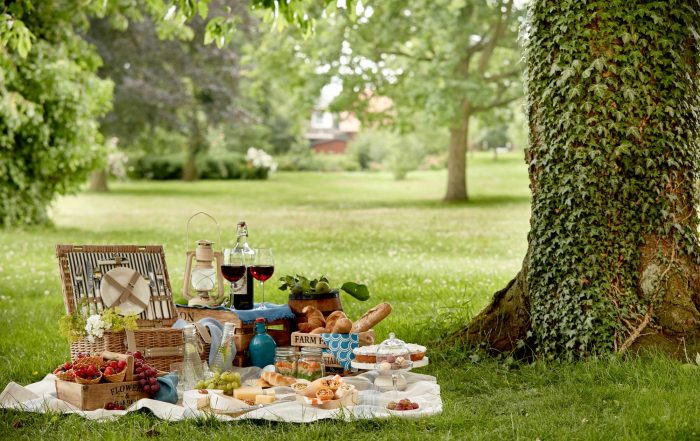 Picknick auf einer grünen Wiese unter einem alten Baum - Wander-Gewinnspiel