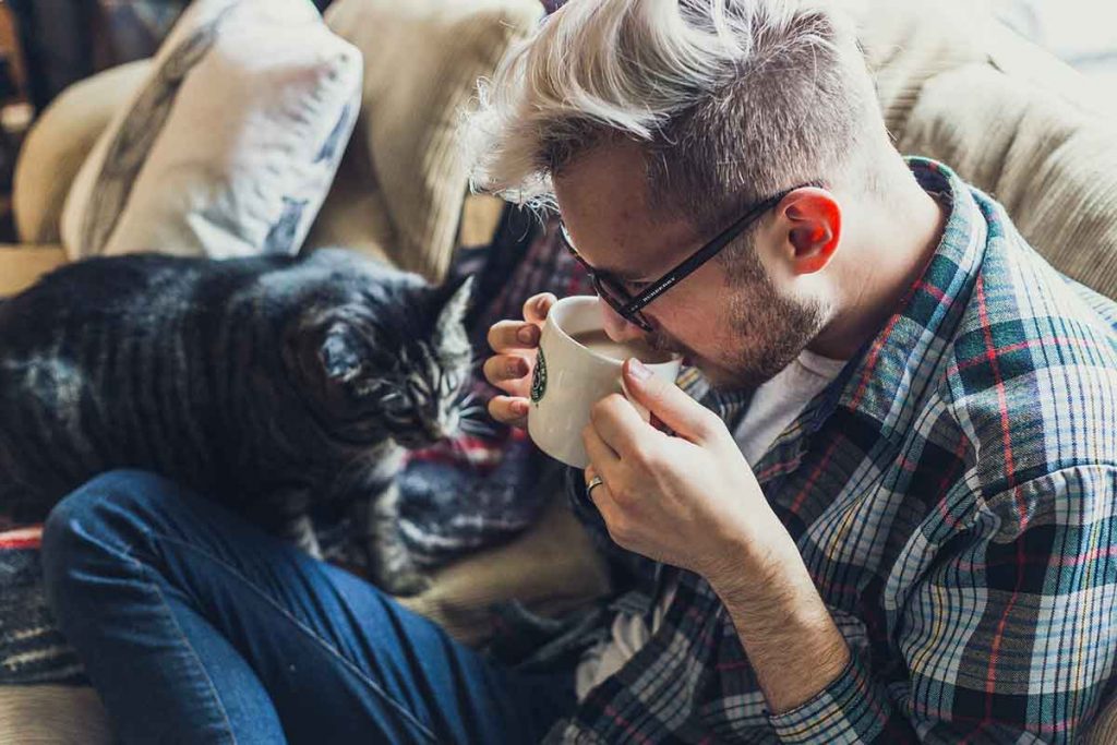 Tierische Gesellschaft - Katzencafés boomen