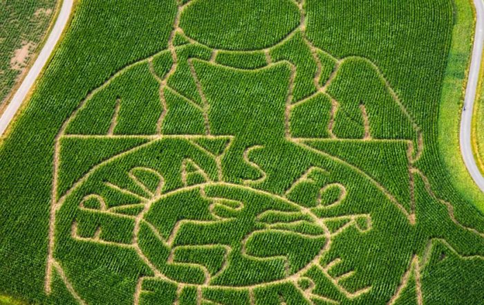 maislabyrinth fridaysforfuture aktuell greta Thunberg - Labyrinthe