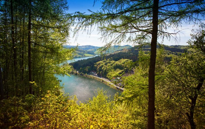 Blick auf den Diemelsee im Sauerland
