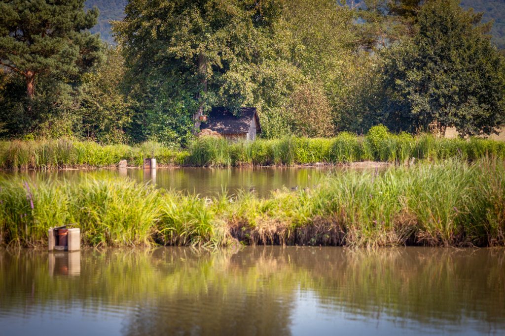 Geschichtsträchtig: Der Aischtalradweg