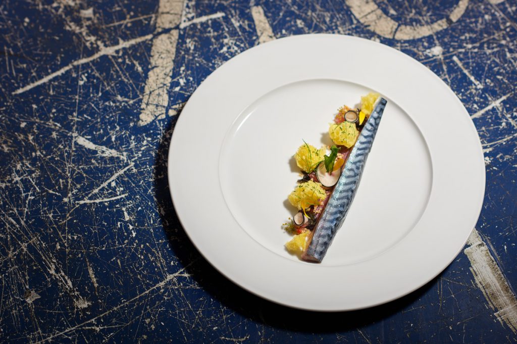 Maquereau Pointe de Brézellec - Arno Normand | Schwarzer Rettich | bretonische Algen | Senf