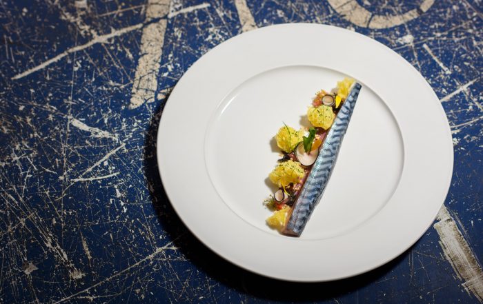 Maquereau Pointe de Brézellec - Arno Normand, Peter Niemann