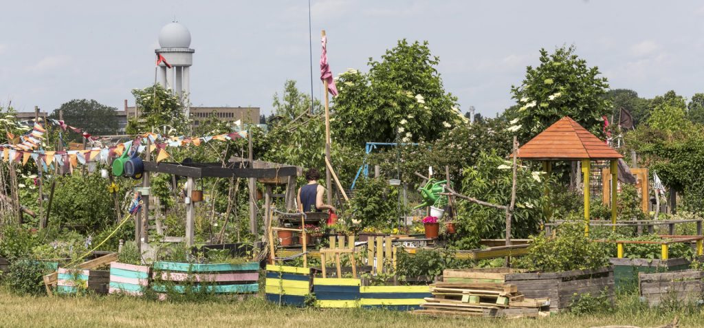 Urbane Gärten auf dem Tempelhofer Feld in Berlin