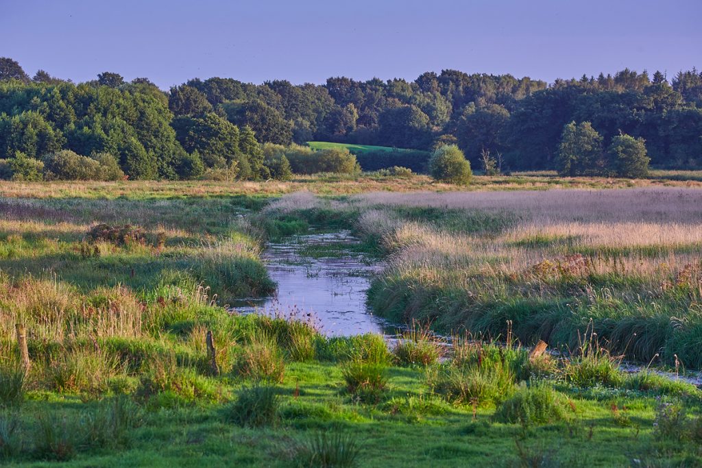 Durch die Eiszeit auf dem Eidertal-Wanderweg