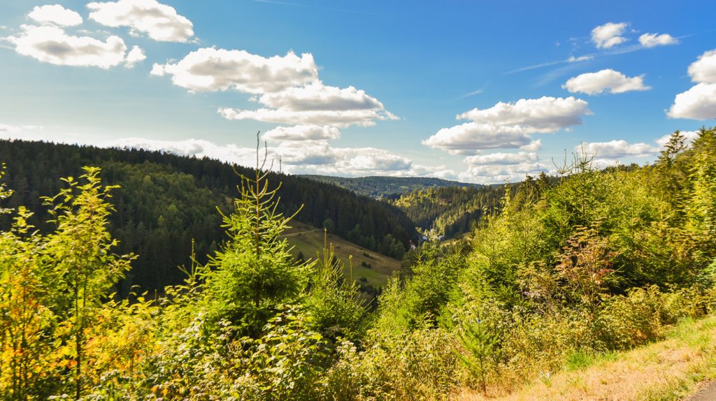 Das Fichtelgebirge: Über Wälder, Felsen und Porzellan