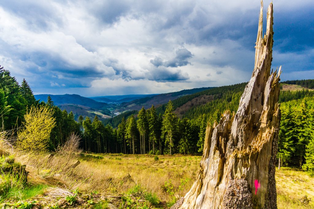Das Sauerland: Natur entdecken – Entspannung erleben