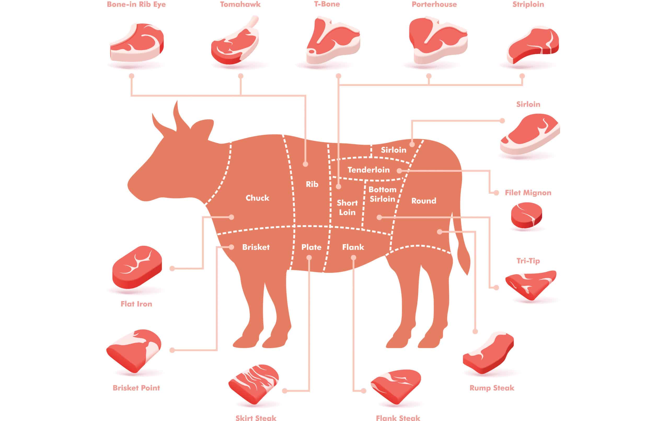 Schema Rind und Steakcuts