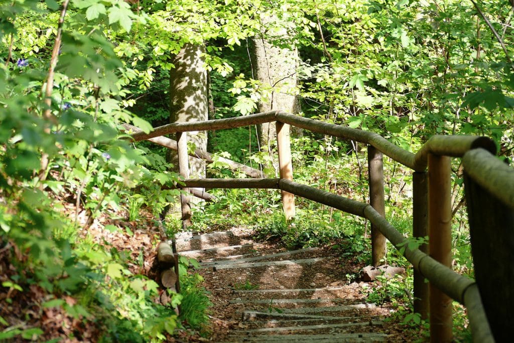 Frühbucher-Special im Waldgasthof Buchenhain