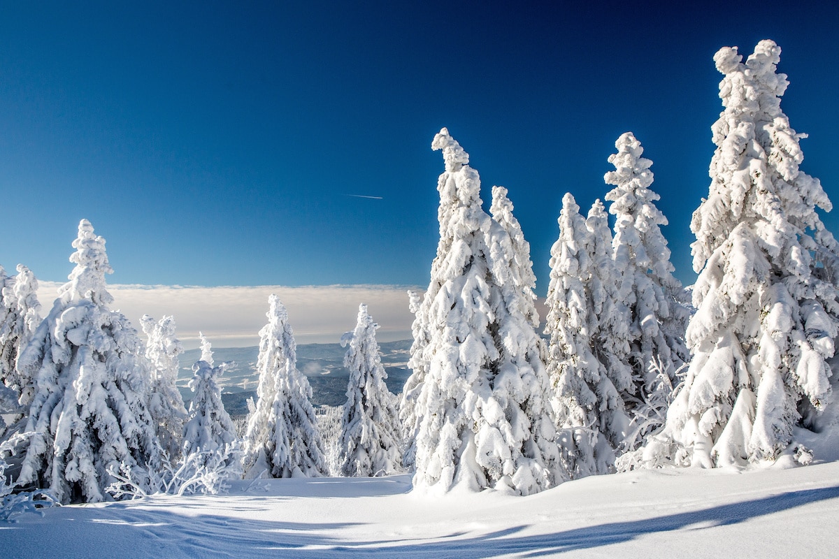 Winterlandschaft am Großen Arber im Bayerischen Wald - Winterwanderwege im Bayerischen Wald
