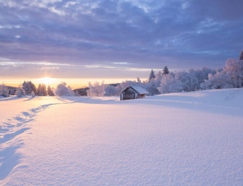 Wohin im Dezember? Reiseziele im Advent