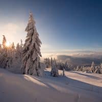 Verschneite Winterlandschaft im Schwarzwald - Winterwanderwege im Schwarzwald