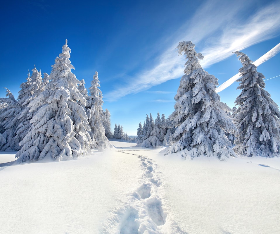 Winter im Thüringer Wald - Winterwanderwege im Thüringer Wald