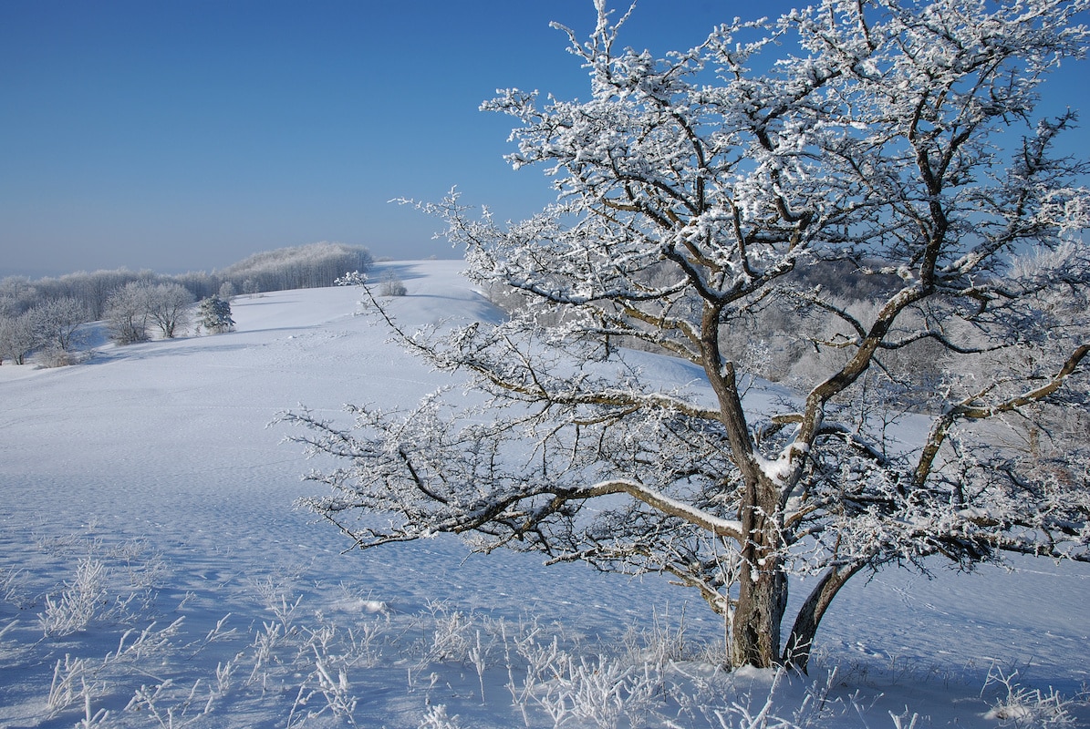 Winterlandschaft auf der Schwäbischen Alb - Winterwanderwege auf der Schwäbischen Alb