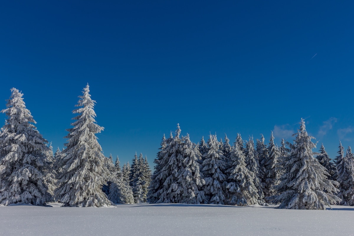 Winterzauber im Thüringer Wald - Winterwanderwege im Thüringer Wald