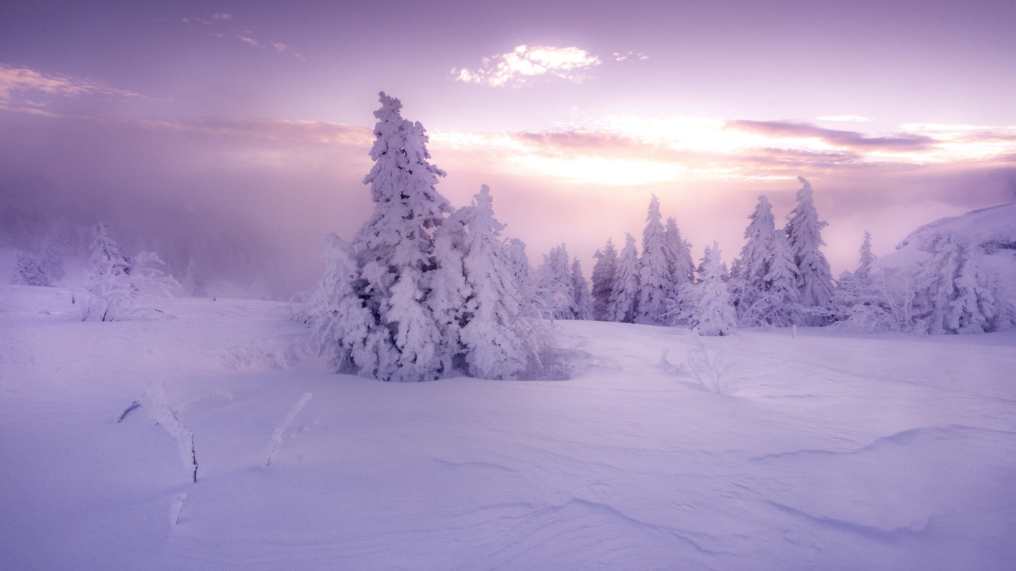 Winterstimmung auf dem Großen Arber - Winterwanderwege im Bayerischen Wald - Winter-Hideaways