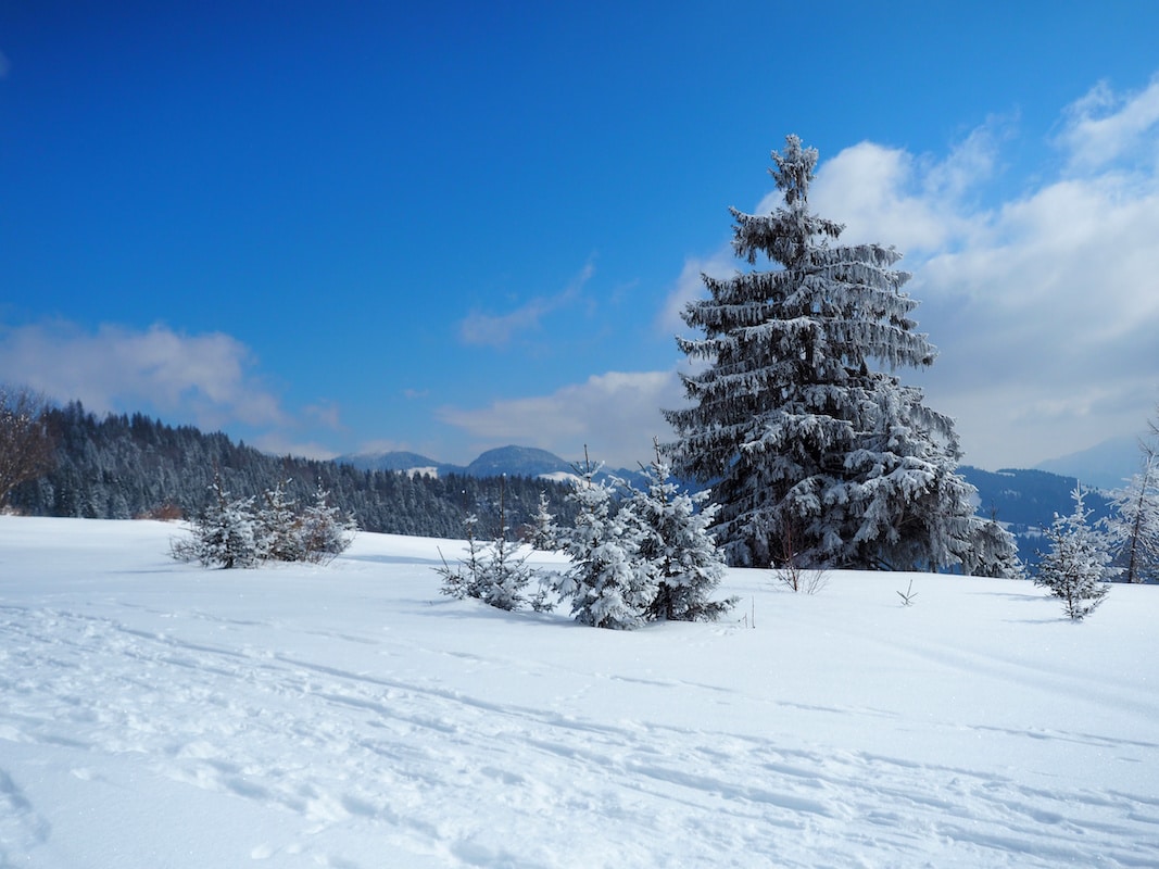 Winter in den Chiemgauer Alpen - Winterwanderwege im Chiemgau