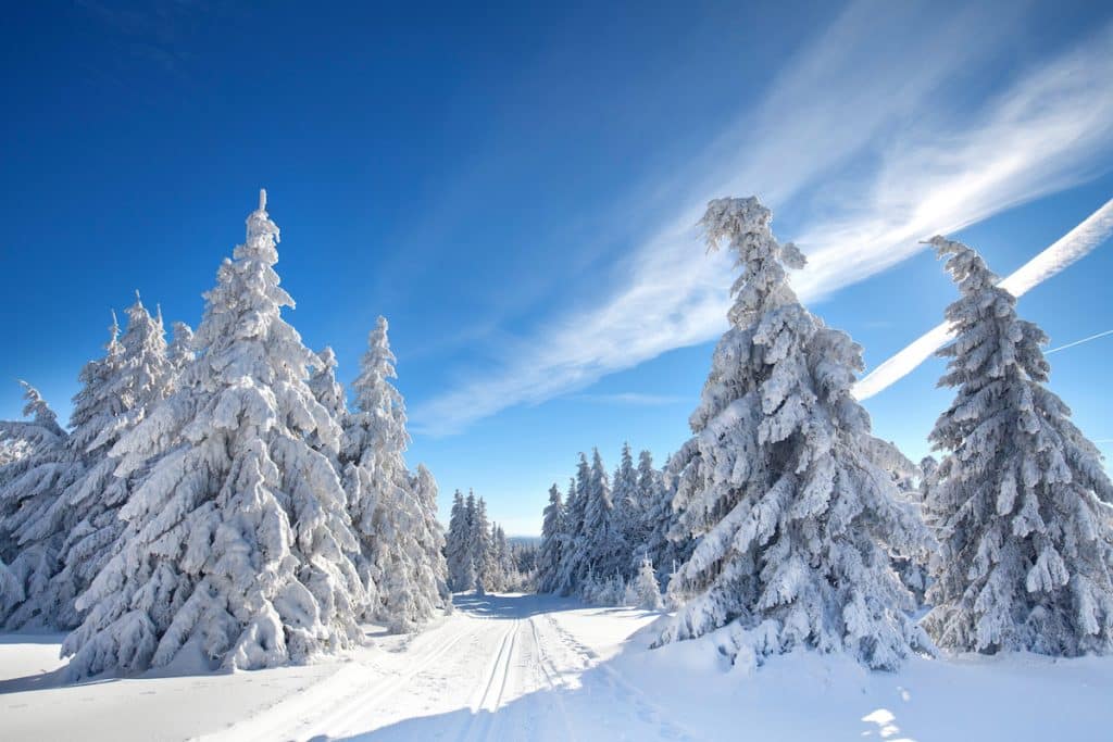 Winterwandern im Harz - Winterwanderwege im Harz - Winterzauber