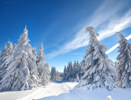 Winterzauber: Wo Deutschland im Winter am schönsten ist