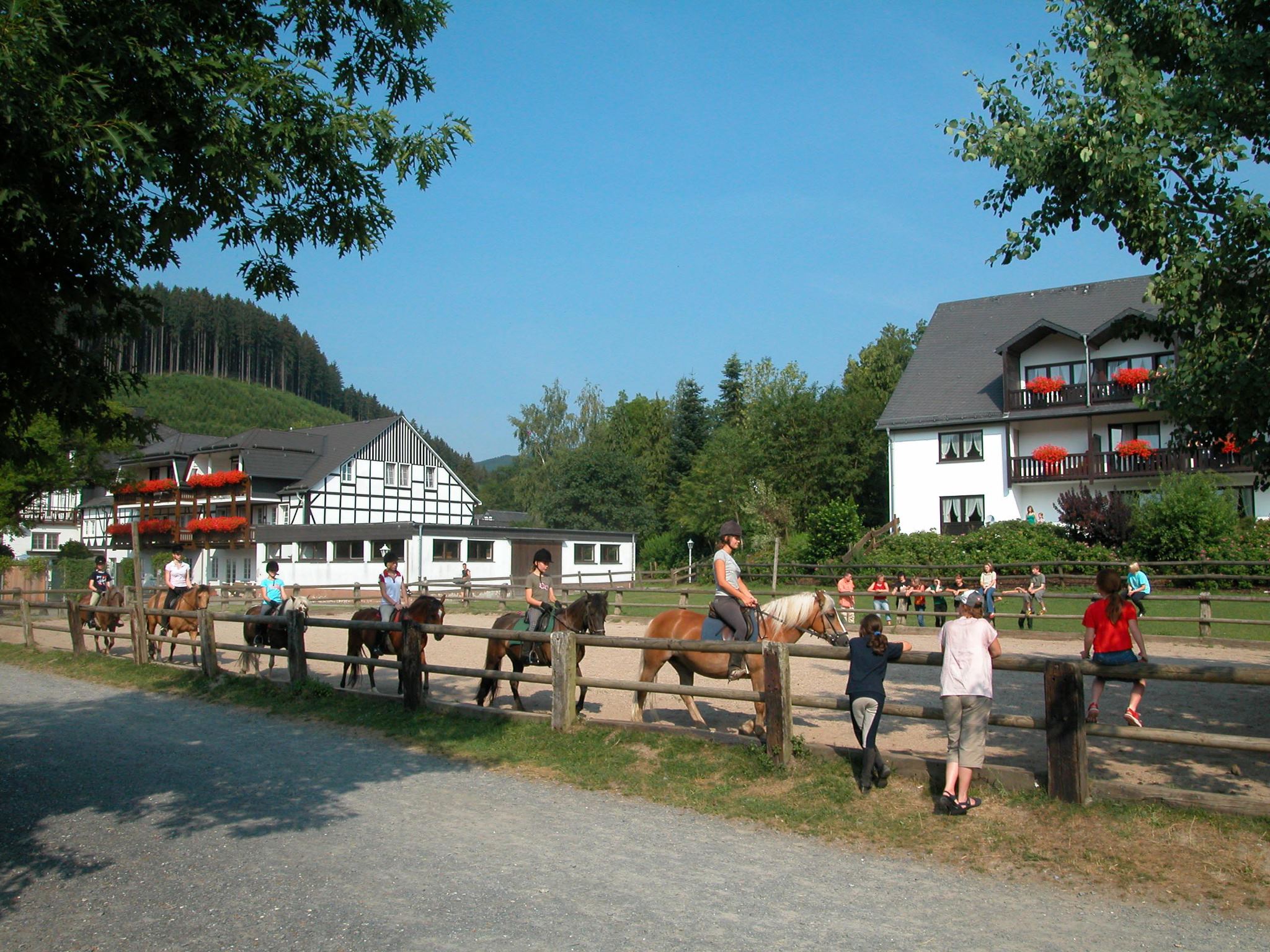 Ponyhof Meier - Urlaub auf dem Bauernhof