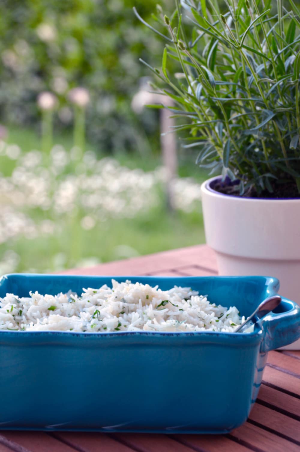 Zitronenreis in hellblauer Schüssel und Estragon im Topf auf Holztisch im Garten