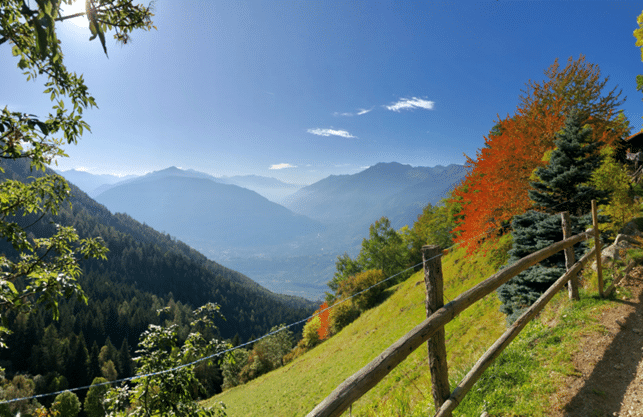 Ausblick von Schenna