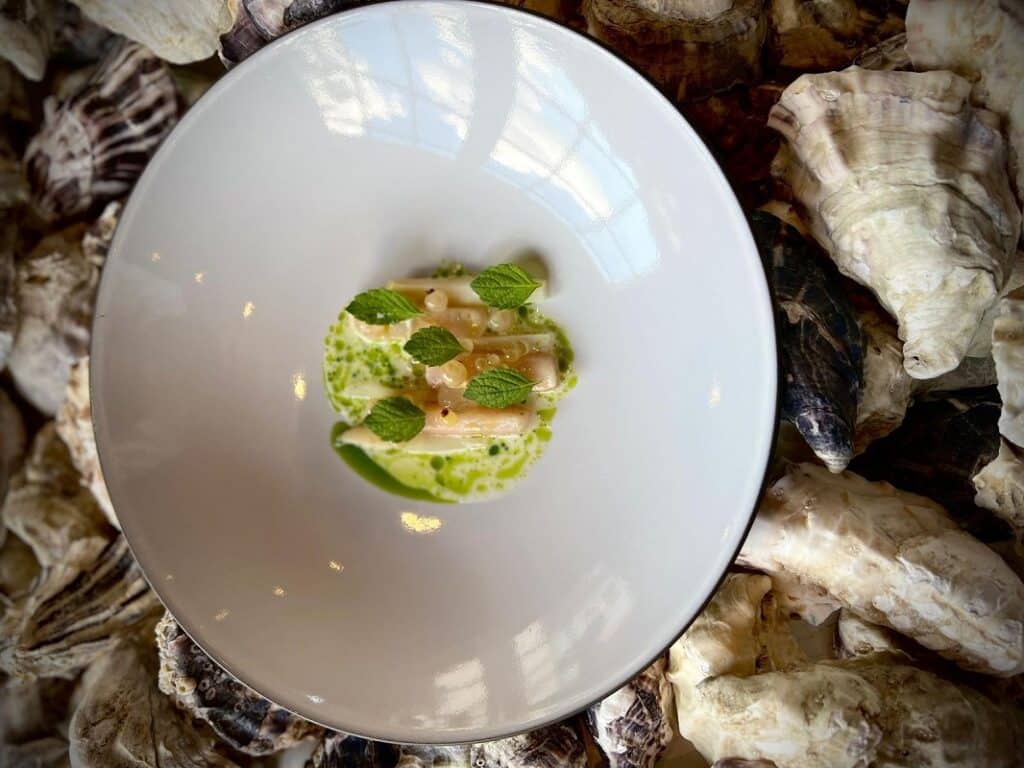Forelle | Saurer Spargel | Johannisbeere