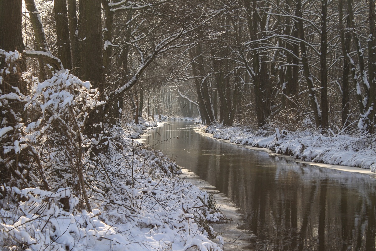 Märchenhafte Winterlandschaft im Spreewald