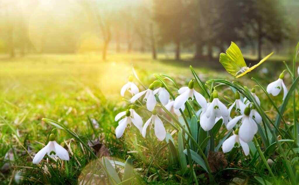 Wohin im März? Reiseziele zum Frühlingsanfang
